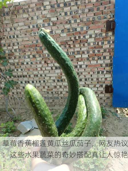 草莓香蕉榴莲黄瓜丝瓜茄子，网友热议：这些水果蔬菜的奇妙搭配真让人惊艳！