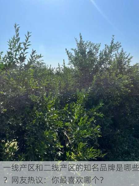 一线产区和二线产区的知名品牌是哪些？网友热议：你最喜欢哪个？