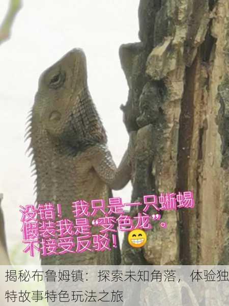 揭秘布鲁姆镇：探索未知角落，体验独特故事特色玩法之旅
