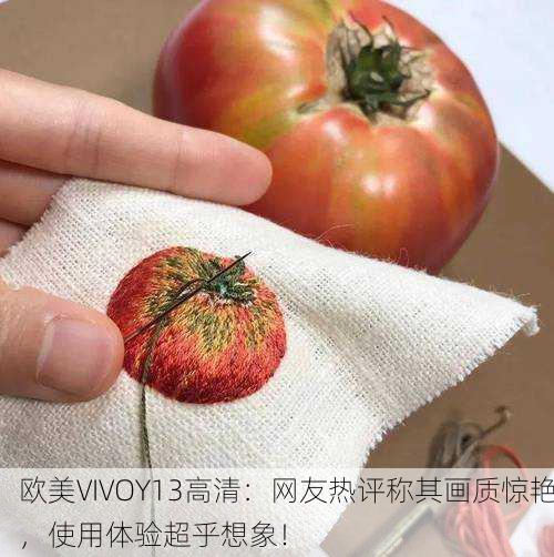 欧美VIVOY13高清：网友热评称其画质惊艳，使用体验超乎想象！
