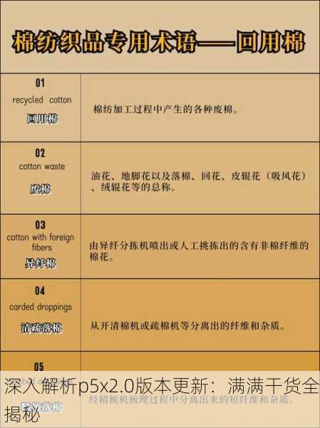 深入解析p5x2.0版本更新：满满干货全揭秘