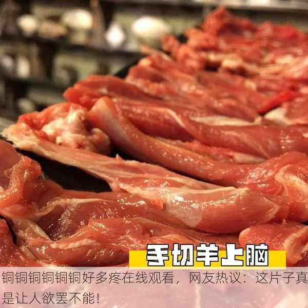 铜铜铜铜铜铜好多疼在线观看，网友热议：这片子真是让人欲罢不能！