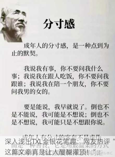深入浅出TXL金银花笔趣：网友热评“这篇文章真是让人醍醐灌顶！”