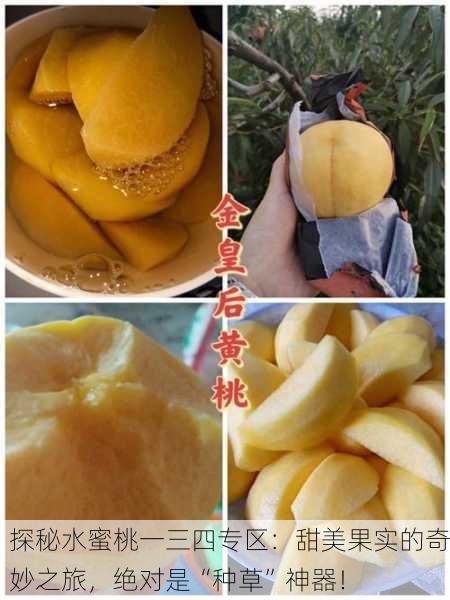 探秘水蜜桃一三四专区：甜美果实的奇妙之旅，绝对是“种草”神器！