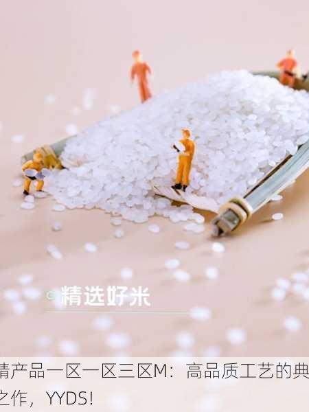 国精产品一区一区三区M：高品质工艺的典范之作，YYDS！