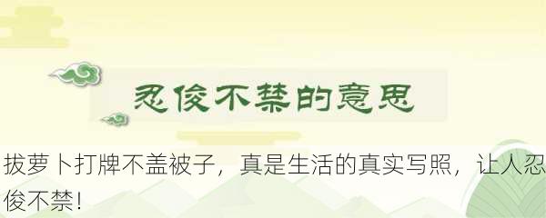 拔萝卜打牌不盖被子，真是生活的真实写照，让人忍俊不禁！
