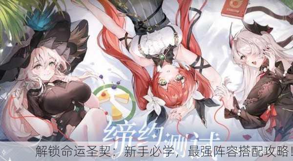 解锁命运圣契：新手必学，最强阵容搭配攻略！