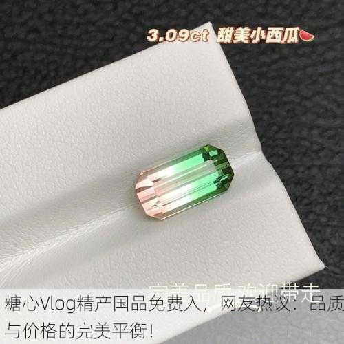 糖心Vlog精产国品免费入，网友热议：品质与价格的完美平衡！