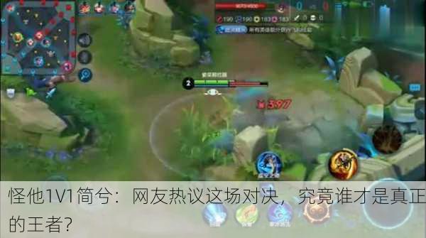 怪他1V1简兮：网友热议这场对决，究竟谁才是真正的王者？