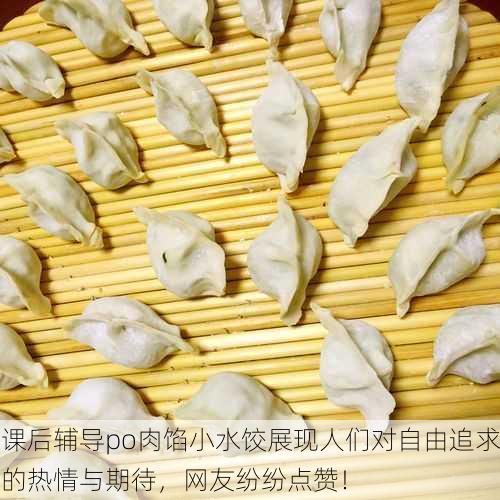 课后辅导po肉馅小水饺展现人们对自由追求的热情与期待，网友纷纷点赞！