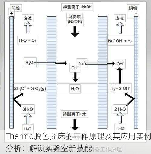 Thermo脱色摇床的工作原理及其应用实例分析：解锁实验室新技能！