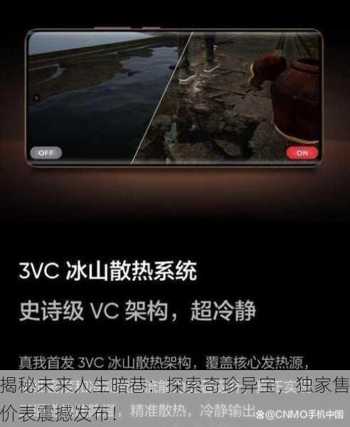 揭秘未来人生暗巷：探索奇珍异宝，独家售价表震撼发布！