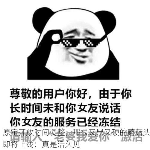 原定开放时间调整，那根又黑又硬的蘑菇头即将上线：真是活久见