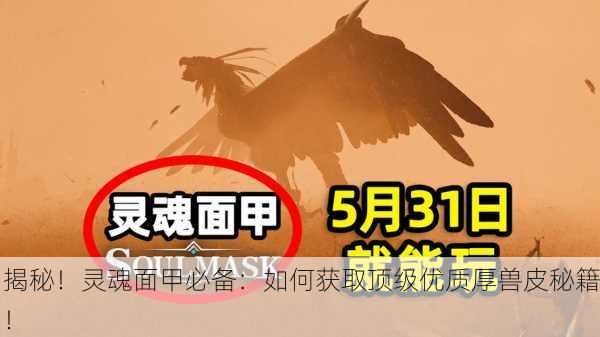 揭秘！灵魂面甲必备：如何获取顶级优质厚兽皮秘籍！