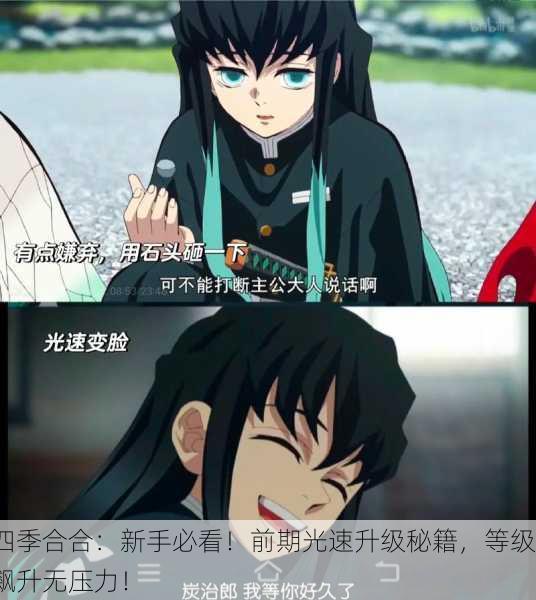 四季合合：新手必看！前期光速升级秘籍，等级飙升无压力！