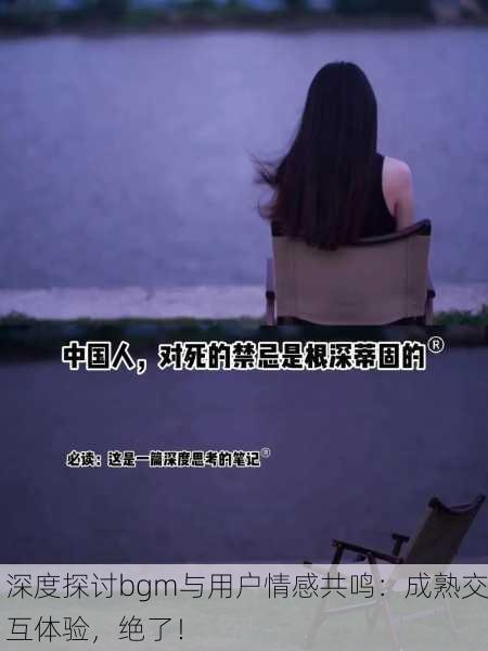 深度探讨bgm与用户情感共鸣：成熟交互体验，绝了！