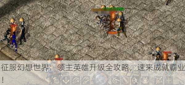 征服幻想世界：领主英雄升级全攻略，速来成就霸业！