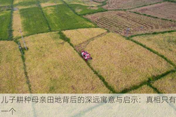 儿子耕种母亲田地背后的深远寓意与启示：真相只有一个