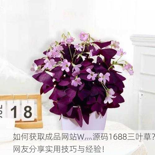 如何获取成品网站W灬源码1688三叶草？网友分享实用技巧与经验！