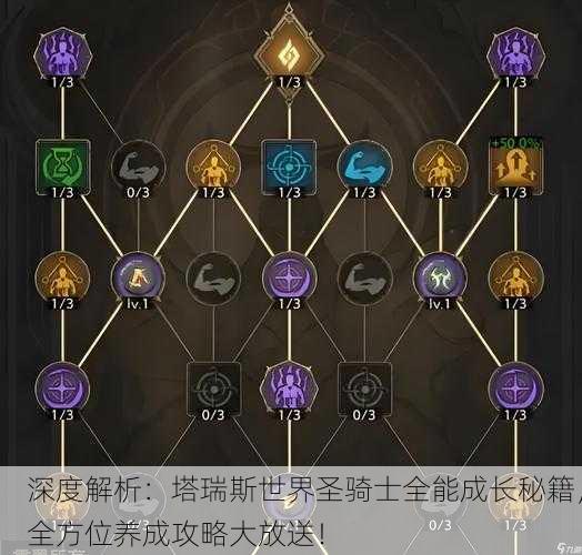 深度解析：塔瑞斯世界圣骑士全能成长秘籍，全方位养成攻略大放送！