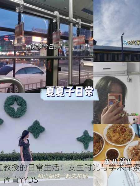 江教授的日常生活：安生时光与学术探索，简直YYDS