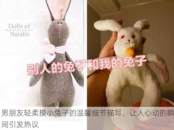 男朋友轻柔摸小兔子的温馨细节描写，让人心动的瞬间引发热议
