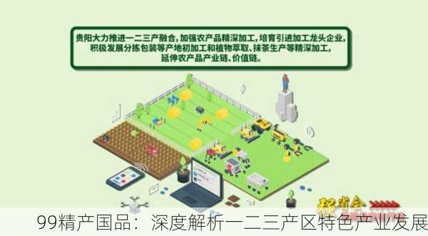 99精产国品：深度解析一二三产区特色产业发展