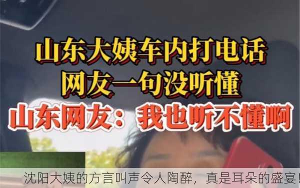 沈阳大姨的方言叫声令人陶醉，真是耳朵的盛宴！