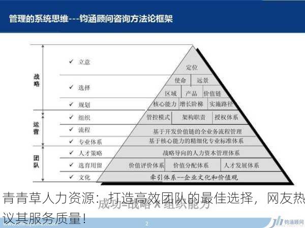 青青草人力资源：打造高效团队的最佳选择，网友热议其服务质量！