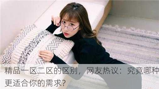 精品一区二区的区别，网友热议：究竟哪种更适合你的需求？