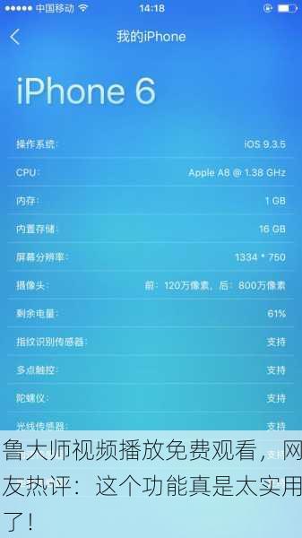 鲁大师视频播放免费观看，网友热评：这个功能真是太实用了！