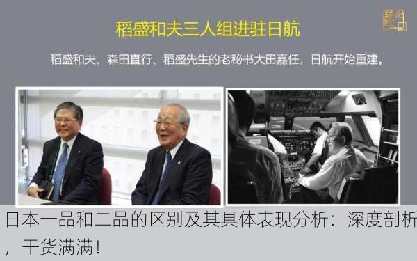 日本一品和二品的区别及其具体表现分析：深度剖析，干货满满！