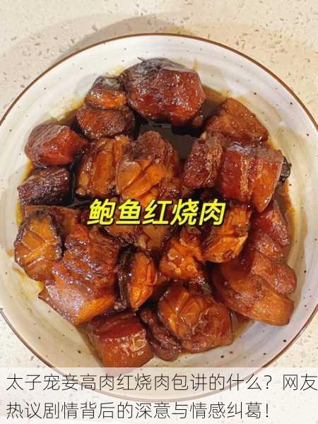 太子宠妾高肉红烧肉包讲的什么？网友热议剧情背后的深意与情感纠葛！