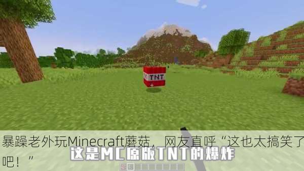 暴躁老外玩Minecraft蘑菇，网友直呼“这也太搞笑了吧！”