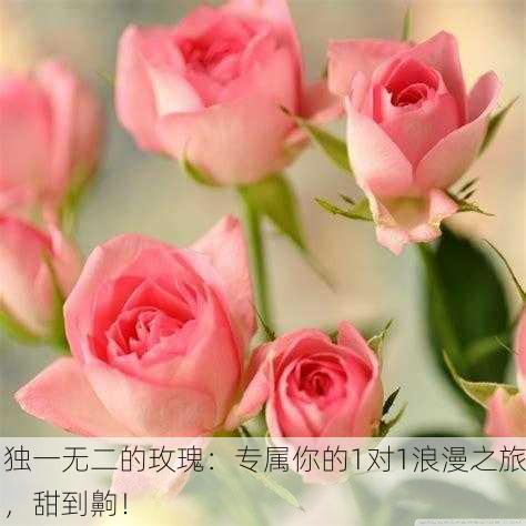 独一无二的玫瑰：专属你的1对1浪漫之旅，甜到齁！
