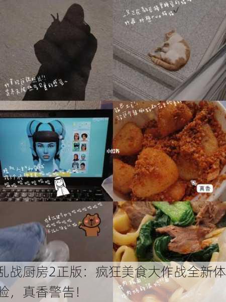 乱战厨房2正版：疯狂美食大作战全新体验，真香警告！