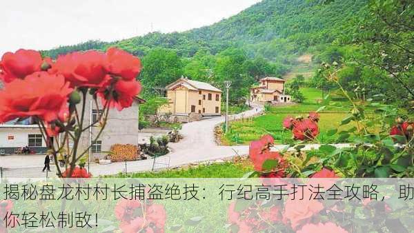 揭秘盘龙村村长捕盗绝技：行纪高手打法全攻略，助你轻松制敌！