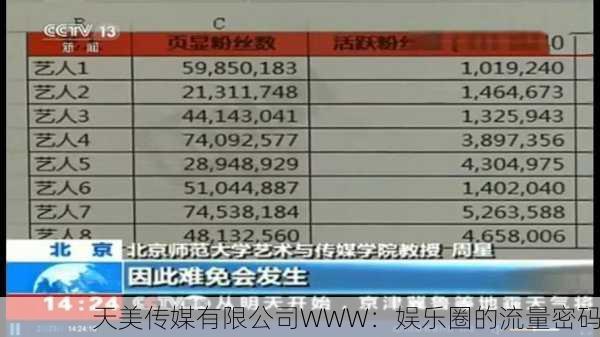天美传媒有限公司WWW：娱乐圈的流量密码