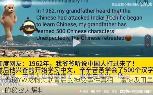 揭秘YW龙物失联背后的神秘事件真相：震惊瓜田里的秘密大爆料