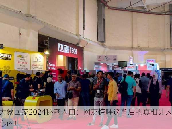 大象回家2024秘密人口：网友惊呼这背后的真相让人心碎！