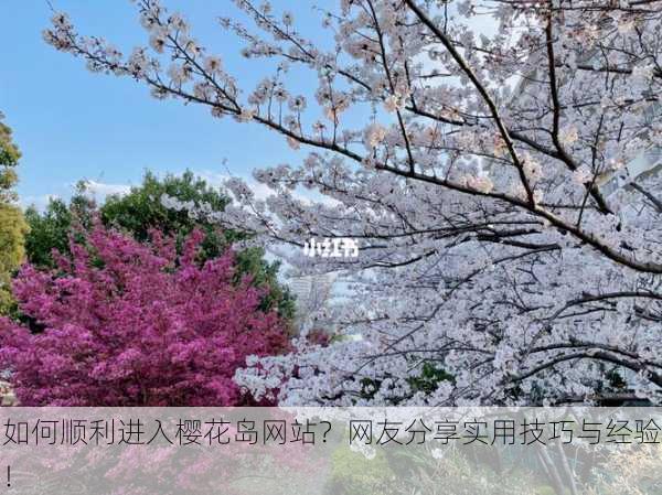 如何顺利进入樱花岛网站？网友分享实用技巧与经验！