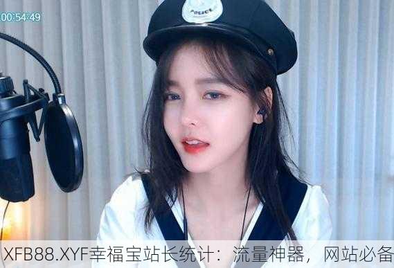 XFB88.XYF幸福宝站长统计：流量神器，网站必备