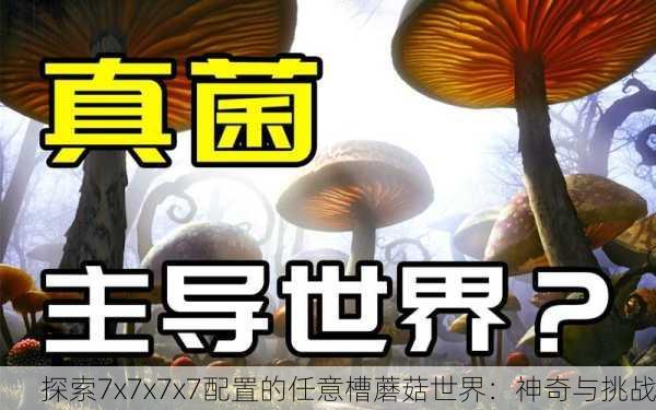 探索7x7x7x7配置的任意槽蘑菇世界：神奇与挑战