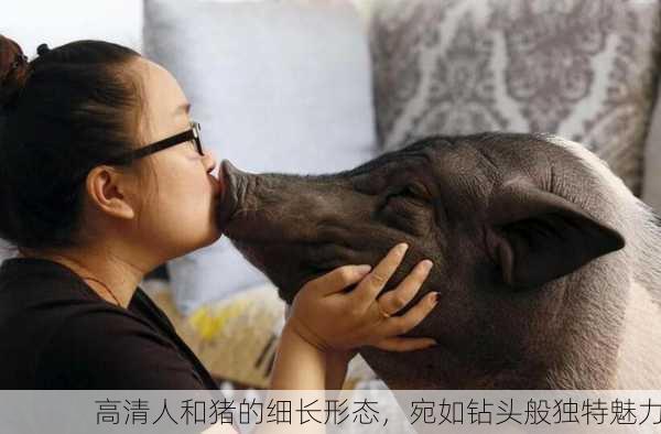 高清人和猪的细长形态，宛如钻头般独特魅力