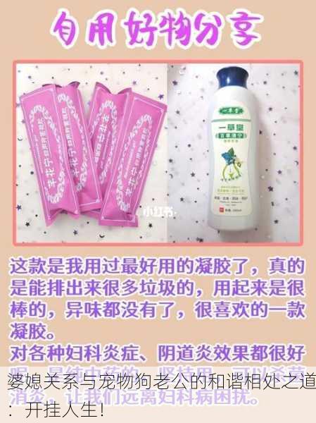 婆媳关系与宠物狗老公的和谐相处之道：开挂人生！