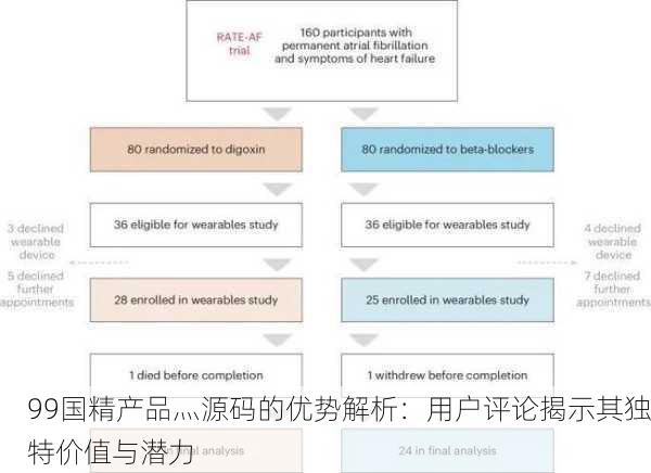 99国精产品灬源码的优势解析：用户评论揭示其独特价值与潜力