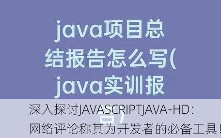 深入探讨JAVASCRIPTJAVA-HD：网络评论称其为开发者的必备工具！