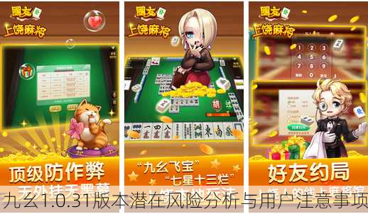 九幺1.0.31版本潜在风险分析与用户注意事项