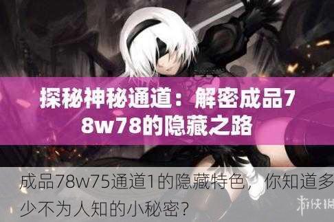 成品78w75通道1的隐藏特色，你知道多少不为人知的小秘密？