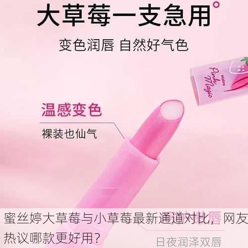 蜜丝婷大草莓与小草莓最新通道对比，网友热议哪款更好用？